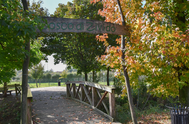Oasi Bosco di Zivido, Italy